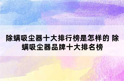 除螨吸尘器十大排行榜是怎样的 除螨吸尘器品牌十大排名榜